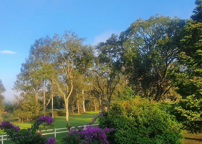Fazenda Pedra Selada